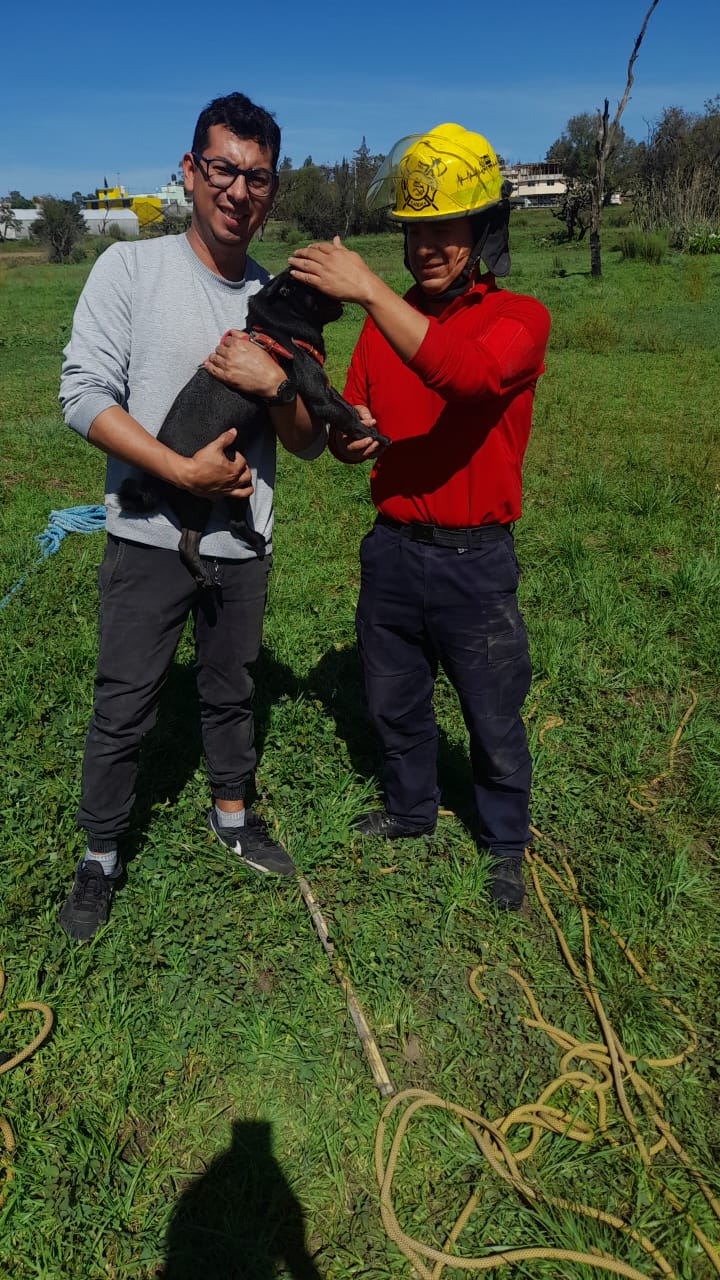 BOMBEROS DE LA SSC RESCATAN A “SÍMBOLO”, PERRITO QUE CAYÓ A UN POZO 